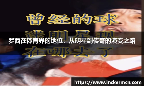 JJB竞技宝官网
